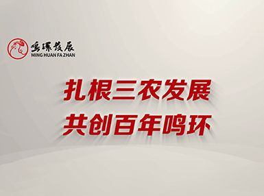 2025 鳴環發展宣傳片